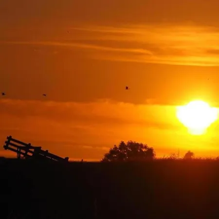 In South Holland By The Water בית נופש *