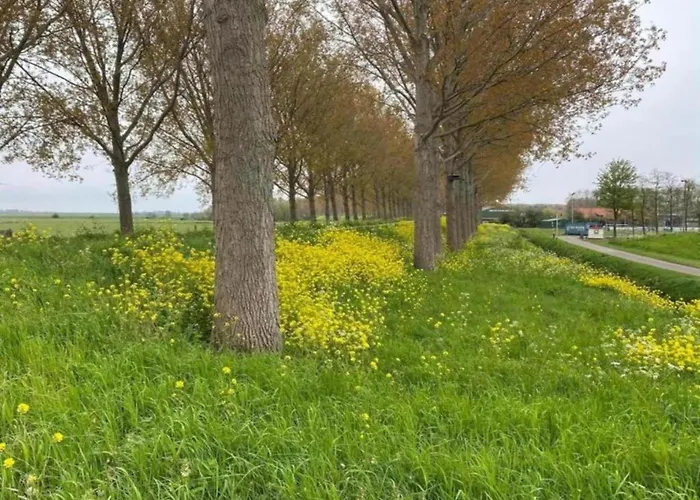 In South Holland By The Water בית נופש Simonshaven