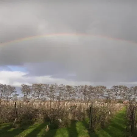 In South Holland By The Water Casa vacanze *