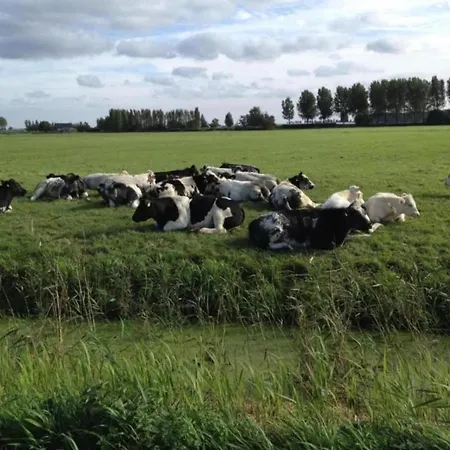 Semesterbostad In South Holland By The Water *