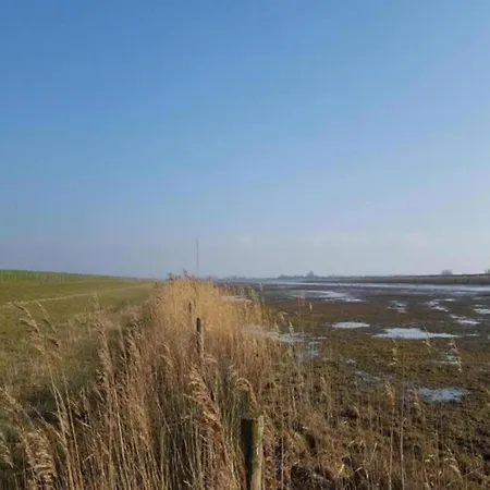 Semesterbostad In South Holland By The Water *