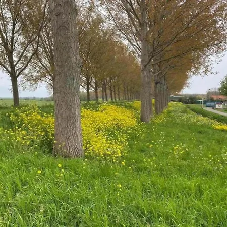 In South Holland By The Water Semesterbostad Simonshaven