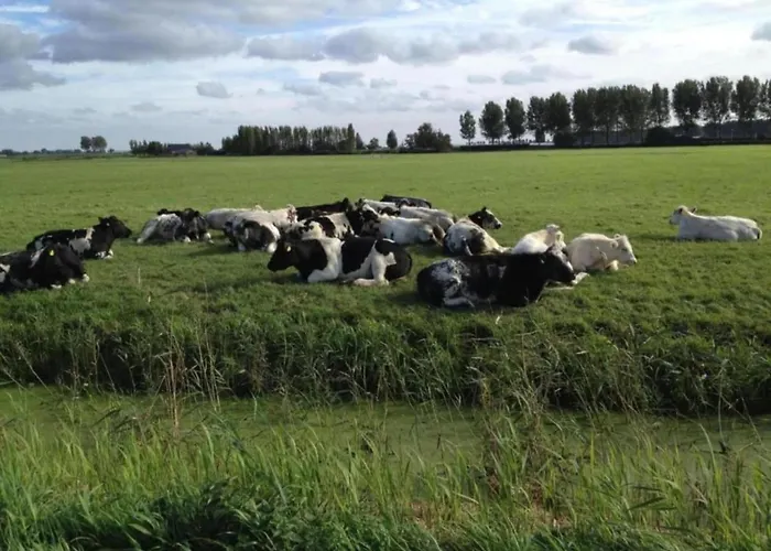 Casa vacanze In South Holland By The Water *