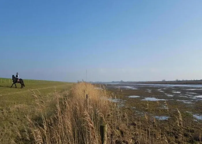Casa vacanze In South Holland By The Water *